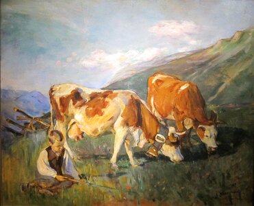 Landscape boy cattle