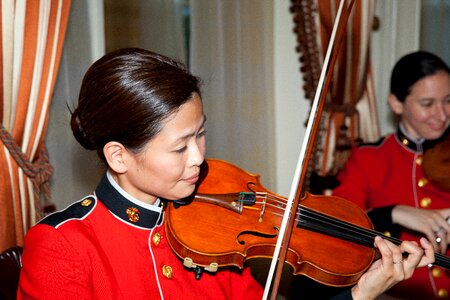 Musician performance violin