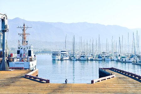 Port harbor sailboats