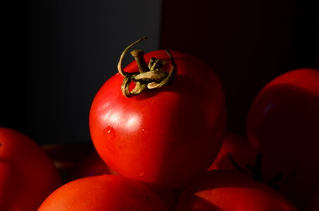 Tomato photo