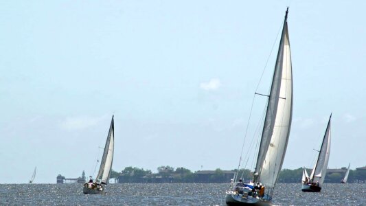 Boat boat race catamaran photo