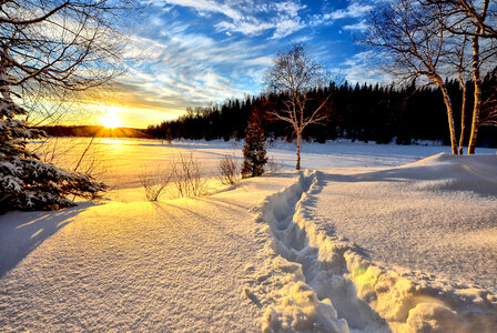Winter Morning sunrise landscape photo