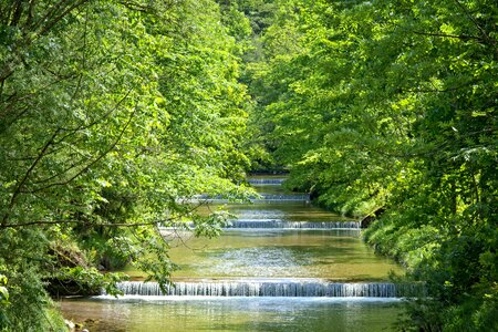 Ecology environment forest photo