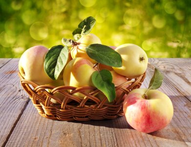 Basket With Apples photo