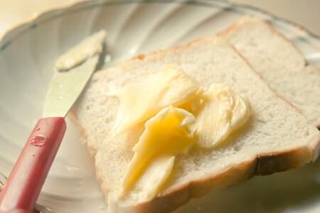 Breakfast butter cheese photo