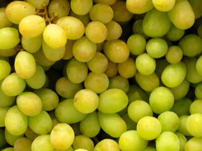 Market healthy vitamins