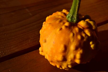 Autumn autumn season calorie
