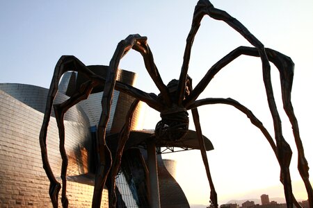 Sculpture shadow dark spider photo