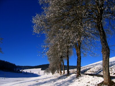 Snow winter meadow photo