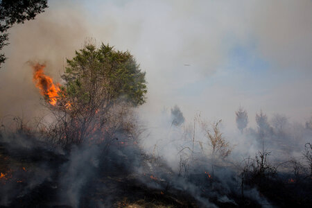 Prescribed burn at NCTC -4