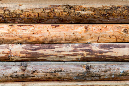 Wooden background. Wooden texture. photo