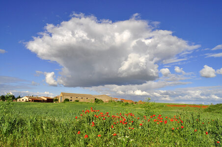 Large clouds over the flowery meadow photo