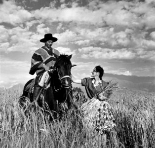 Ride black and white arabs