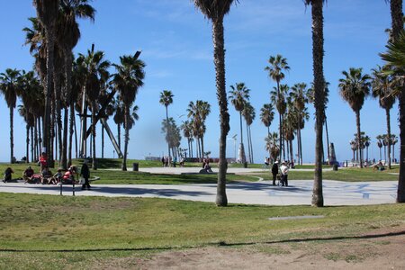 View of the Pacific Ocean and the beach in Venice Beach