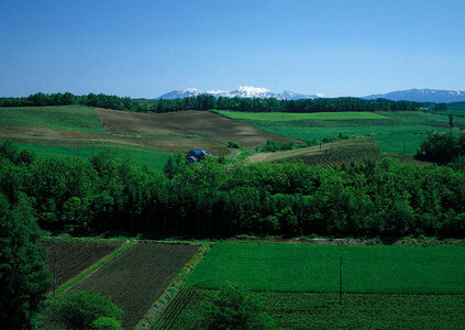 Aerial view of agricultural fields photo