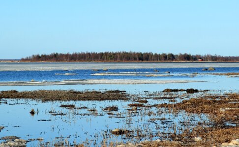 Landscape of trees and river after winter frost photo