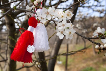 Spring nature bow