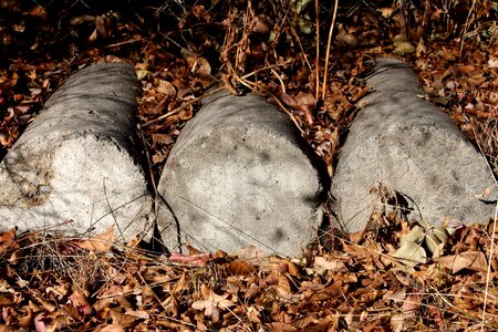 Autumn block cement