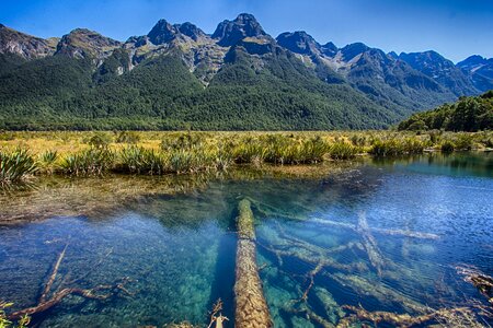 Reflection water milford road