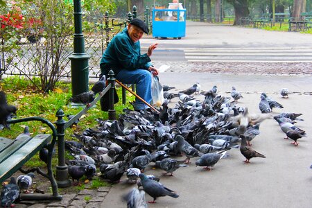 Smiling feeding pigeons