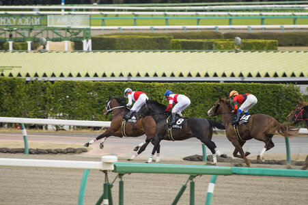 9 Horse race