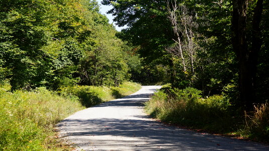 Dolly Sods Rohrbaugh Plains photo