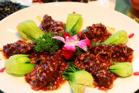 Vegetarian food sea cucumber feast