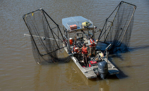 U.S. Fish and Wildlife Service boat, The Magna Carpa, with catch of invasive carp