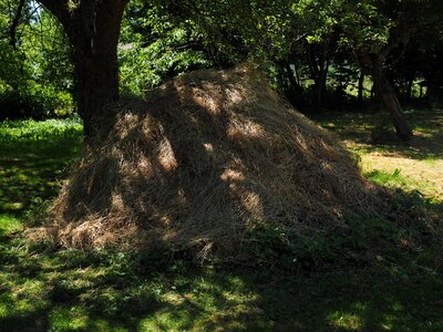 Grass pile meadow garden