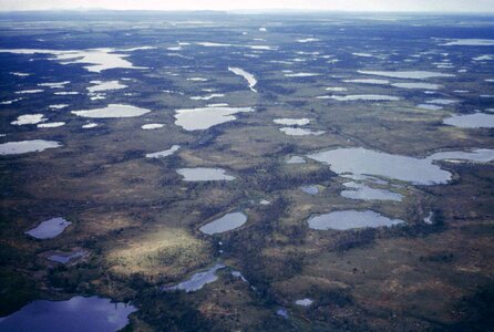 Lakes perspective wetland
