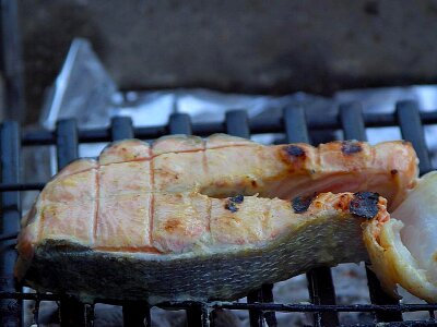 Grille salmon 