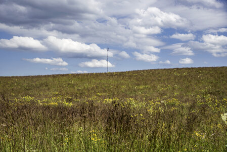 Field under cloud and sky