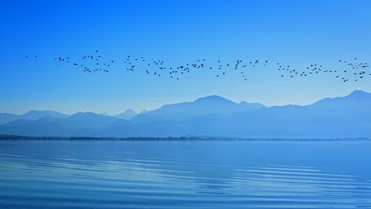 Sky mountains migratory birds photo