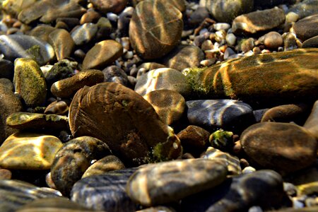 Rocks nature river