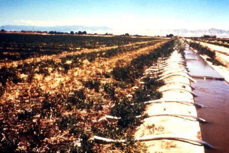 Canal channels irrigation