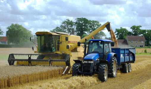 Tractors working in the grain field photo