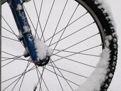 Mature rim spokes photo