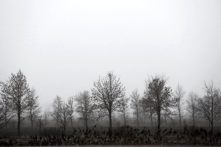 Mist photo