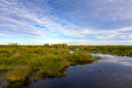 Bayou Sauvage National Wildlife Refuge