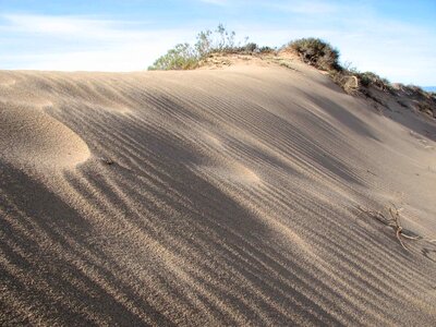 Paradise sand scenic