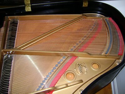 Inside instrument musical