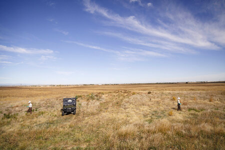 Employees spraying for invasive plants