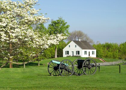 Battlefield landscape plants photo