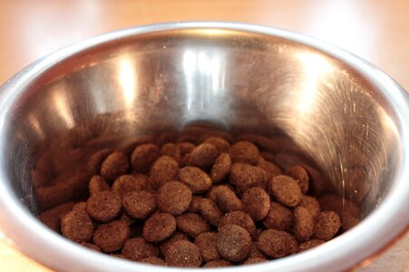 Dried fodder metal bowl pet food