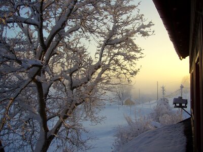 Winter blast landscape morgenstimmung photo