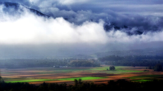 Heavy Fog over the farmlands and fields photo