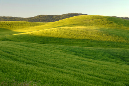 Green, Grassy hills landscape photo