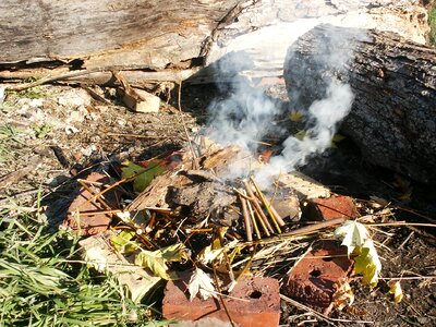 Wood nature warm