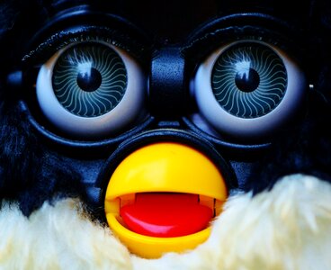 Soft toy toys children