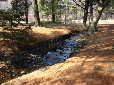 Nature scenery river stream